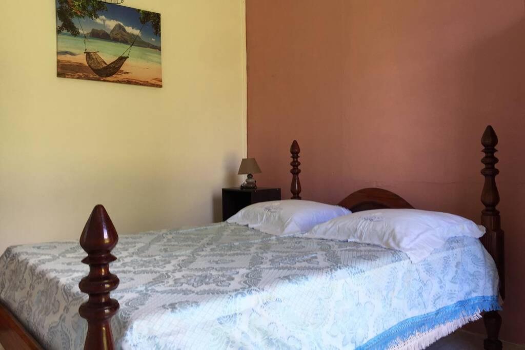 Logement En Pleine Verdure Tropicale -10 Min Plage Le Morne-Rouge Exterior photo