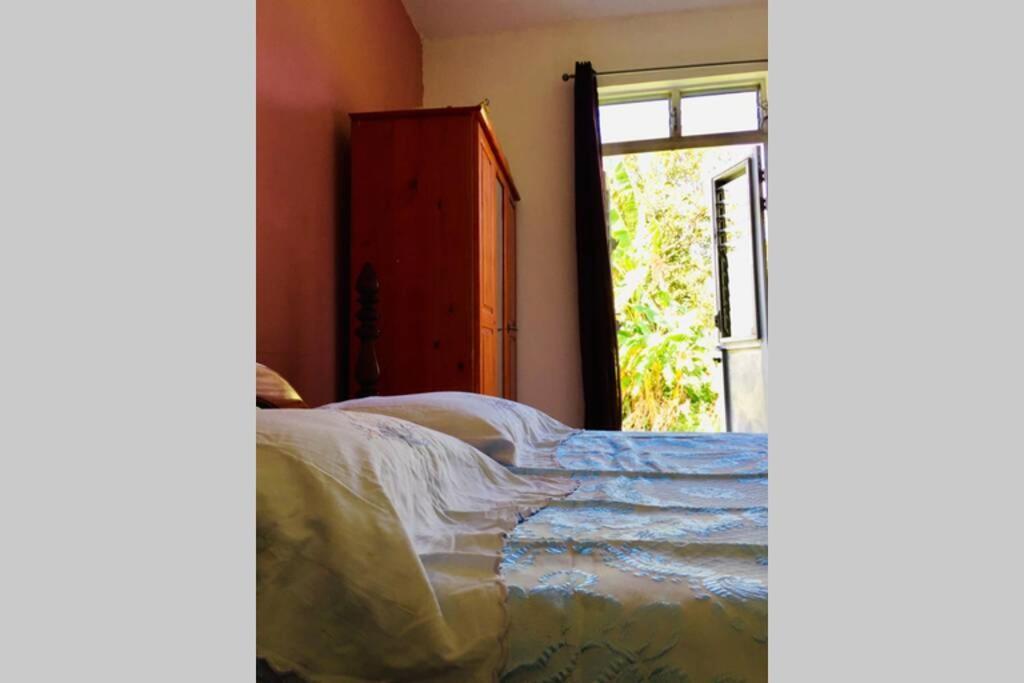 Logement En Pleine Verdure Tropicale -10 Min Plage Le Morne-Rouge Exterior photo