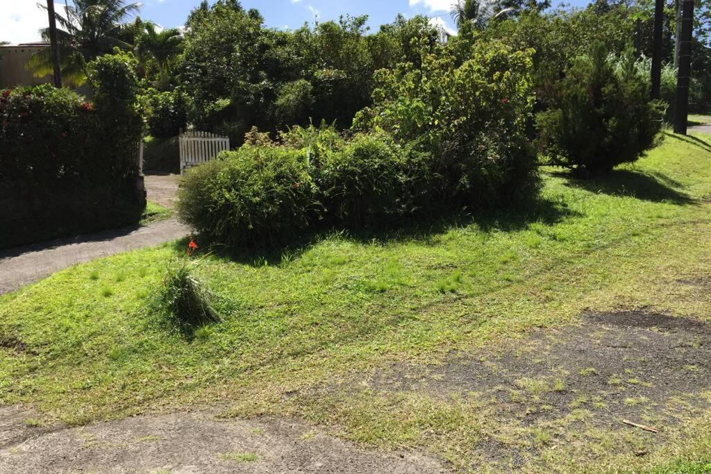 Logement En Pleine Verdure Tropicale -10 Min Plage Le Morne-Rouge Exterior photo